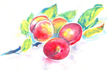 Load image into Gallery viewer, Commissioned Original Watercolour Paintings.