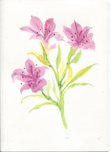 Load image into Gallery viewer, Your choice of a Single design card pack . (Size 5x7")