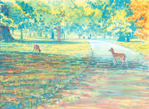 Deer at Burghley Park Stamford A6 cards (pack of 5)