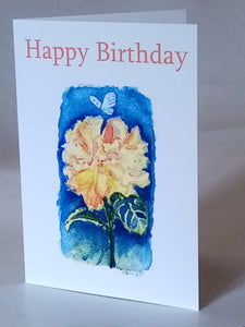 Variety pack of Adult Birthday Cards.  (Size 5x7")