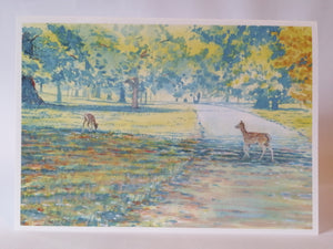 7x5" Card "Deer Burghley Park" (available as a blank or Birthday card)