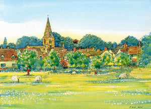 Variety pack Stamford area blank cards.  (Size 5x7")